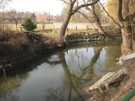 Botič 1 u staré klubovny v Hostivaři  8.3.14.JPG